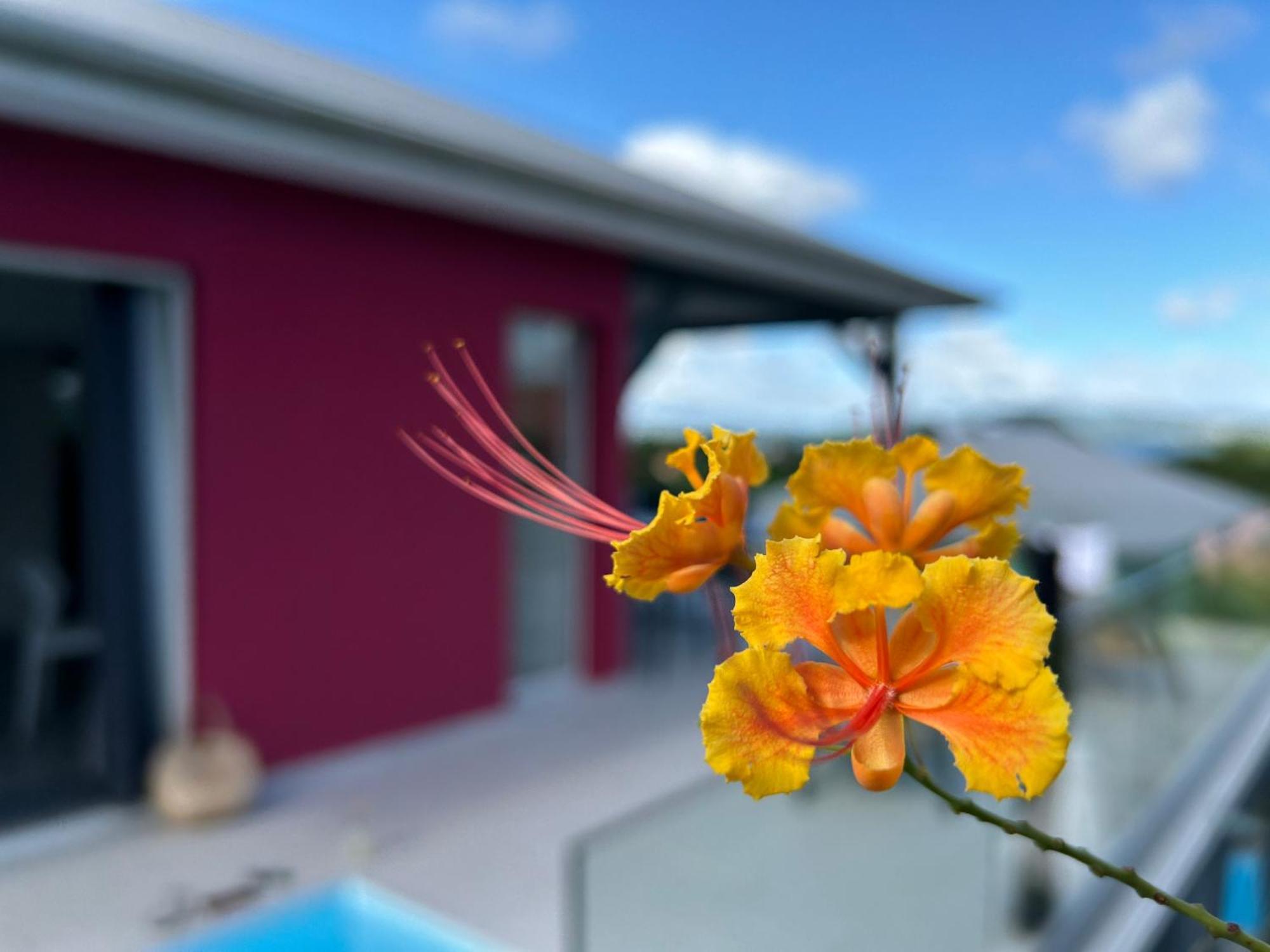 La Villa Jalna Grenadine Deux Chambres Et Piscine Privee Ле-Труаз-Иле Экстерьер фото